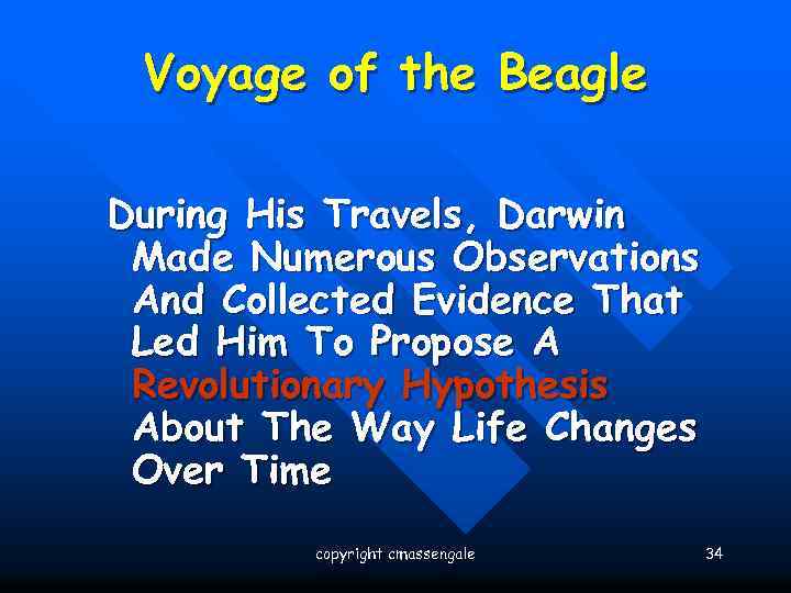 Voyage of the Beagle During His Travels, Darwin Made Numerous Observations And Collected Evidence