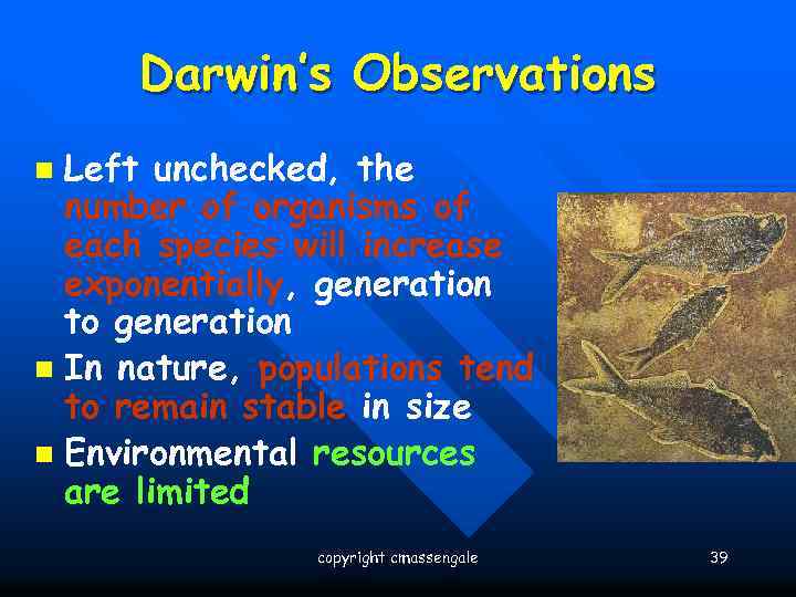 Darwin’s Observations Left unchecked, the number of organisms of each species will increase exponentially,