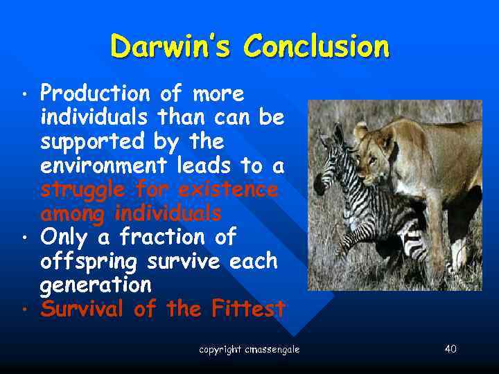 Darwin’s Conclusion • • • Production of more individuals than can be supported by