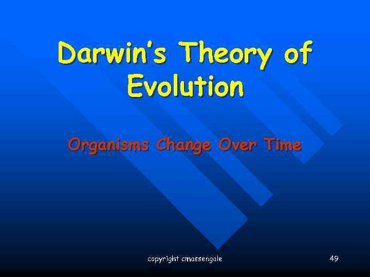 Darwin’s Theory of Evolution Organisms Change Over Time copyright cmassengale 49 