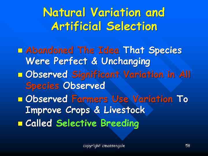 Natural Variation and Artificial Selection Abandoned The Idea That Species Were Perfect & Unchanging