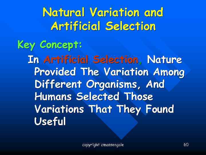 Natural Variation and Artificial Selection Key Concept: In Artificial Selection, Nature Provided The Variation
