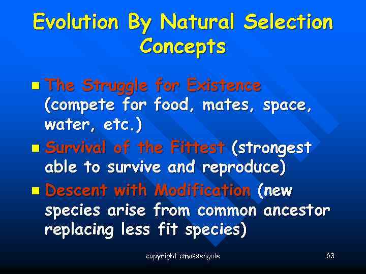 Evolution By Natural Selection Concepts The Struggle for Existence (compete for food, mates, space,