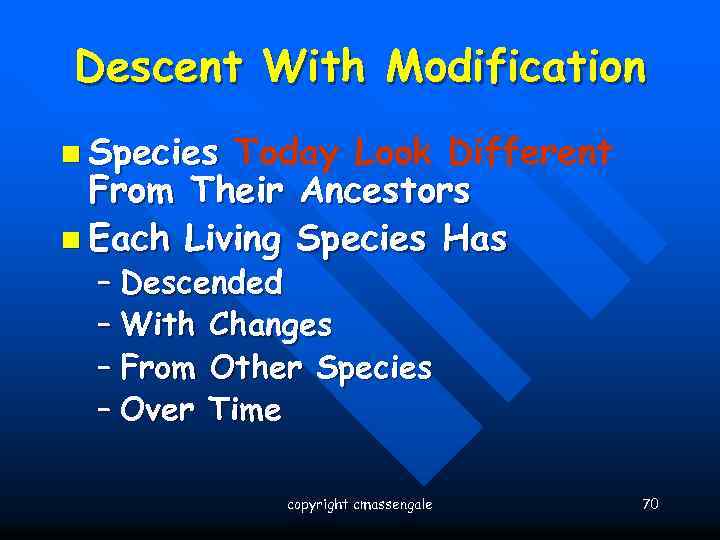 Descent With Modification n Species Today Look Different From Their Ancestors n Each Living