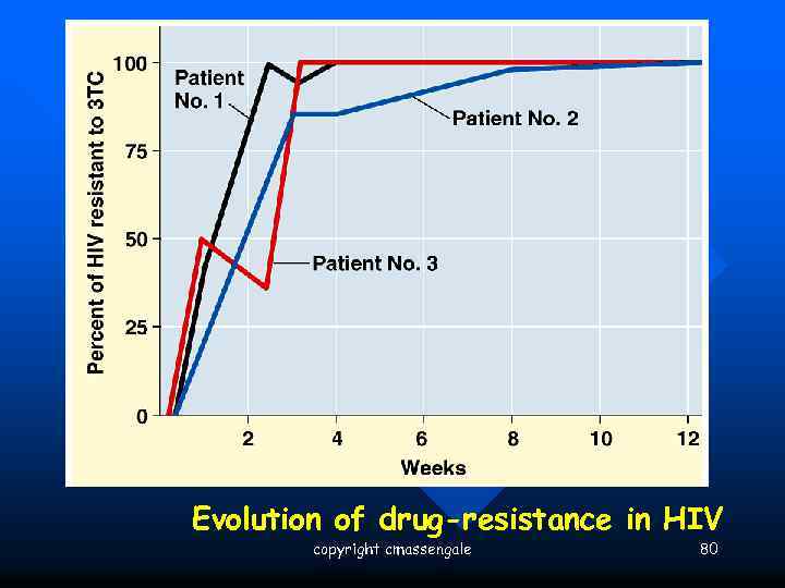 Evidence for Evolution – Evolution Observed Evolution of drug-resistance in HIV copyright cmassengale 80
