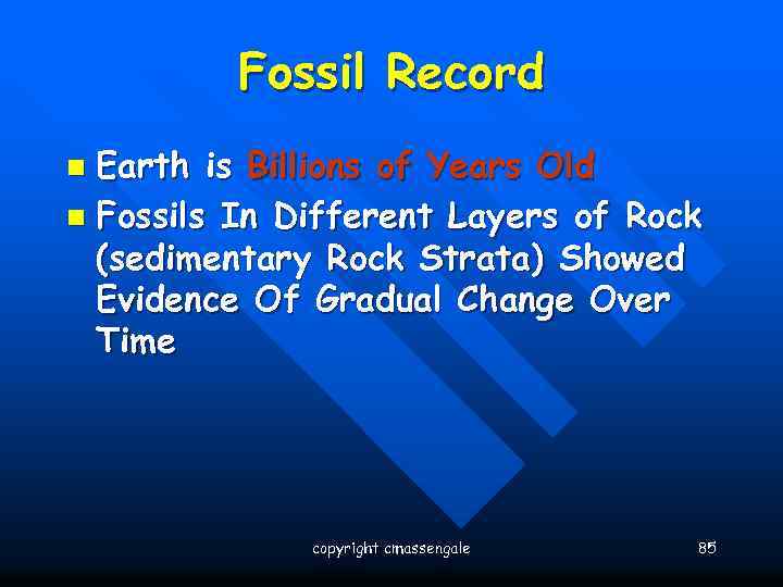 Fossil Record Earth is Billions of Years Old n Fossils In Different Layers of