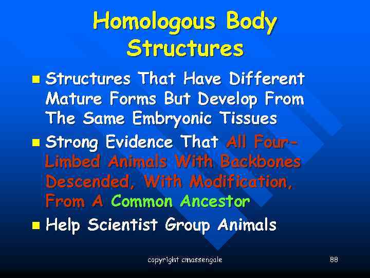 Homologous Body Structures That Have Different Mature Forms But Develop From The Same Embryonic