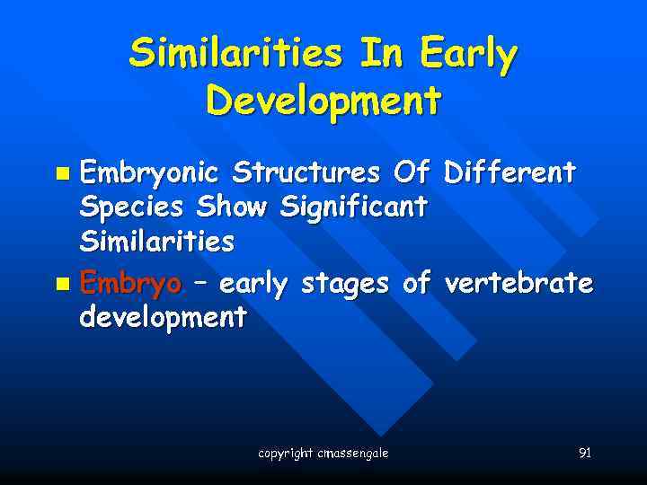 Similarities In Early Development Embryonic Structures Of Different Species Show Significant Similarities n Embryo