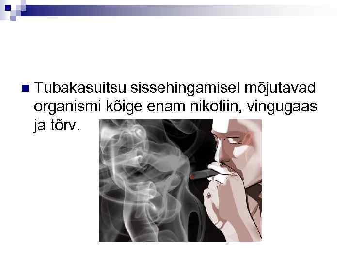 n Tubakasuitsu sissehingamisel mõjutavad organismi kõige enam nikotiin, vingugaas ja tõrv. 