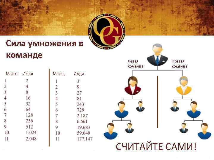 Сила умножения в команде Месяц Люди Месяц Левая команда Правая команда Люди СЧИТАЙТЕ САМИ!