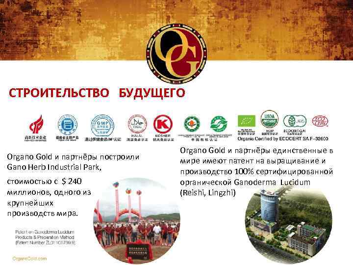 СТРОИТЕЛЬСТВО БУДУЩЕГО Organo Gold и партнёры построили Gano Herb Industrial Park, стоимостью с $