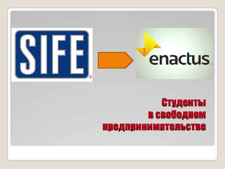 Студенты в свободном предпринимательстве 