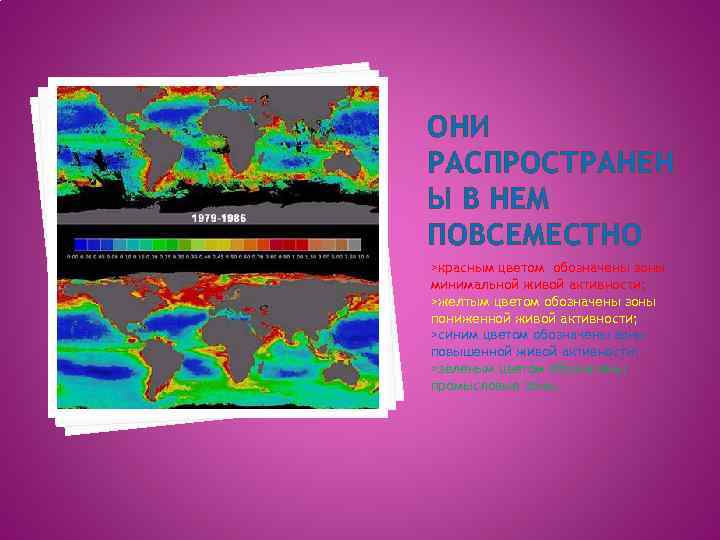 ОНИ РАСПРОСТРАНЕН Ы В НЕМ ПОВСЕМЕСТНО >красным цветом обозначены зоны минимальной живой активности; >желтым