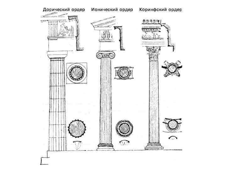 Колонна дорического ордера рисунок