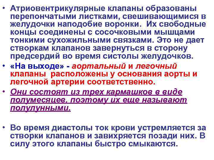  • Атриовентрикулярные клапаны образованы перепончатыми листками, свешивающимися в желудочки наподобие воронки. Их свободные