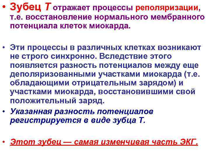  • Зубец Т отражает процессы реполяризации, т. е. восстановление нормального мембранного потенциала клеток