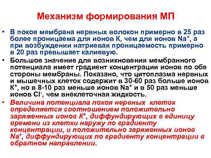 Механизм формирования МП • В покое мембрана нервных волокон примерно в 25 раз более