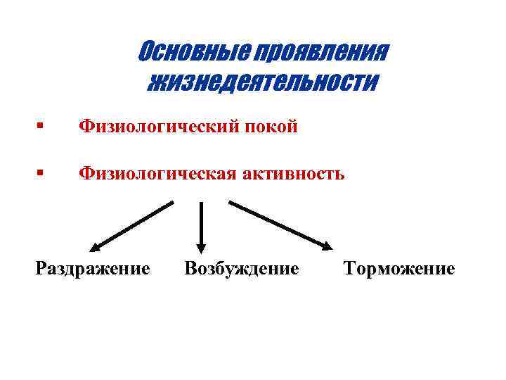 Основные проявления жизнедеятельности § Физиологический покой § Физиологическая активность Раздражение Возбуждение Торможение 