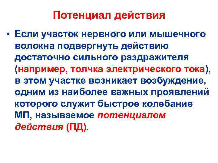 Потенциал действия • Если участок нервного или мышечного волокна подвергнуть действию достаточно сильного раздражителя