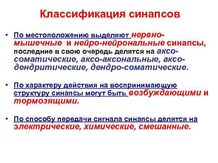 Классификация синапсов • По местоположению выделяют нервно- мышечные и нейро-нейрональные синапсы, последние в свою