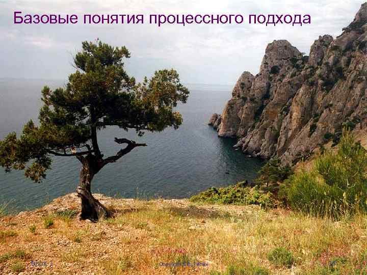 Базовые понятия процессного подхода Блок 1 Copyright В. В. Репин 14 