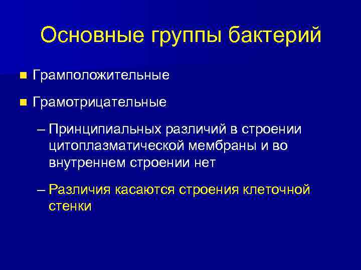 Основные группы бактерий n Грамположительные n Грамотрицательные – Принципиальных различий в строении цитоплазматической мембраны