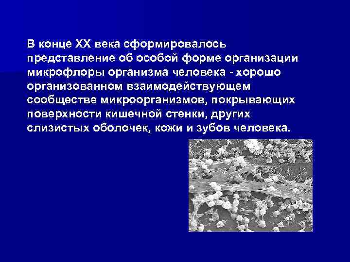 В конце ХХ века сформировалось представление об особой форме организации микрофлоры организма человека -