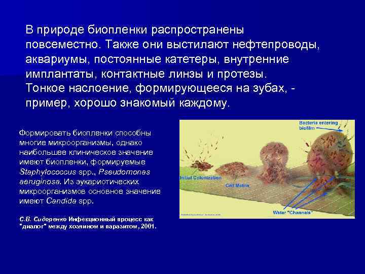 В природе биопленки распространены повсеместно. Также они выстилают нефтепроводы, аквариумы, постоянные катетеры, внутренние имплантаты,