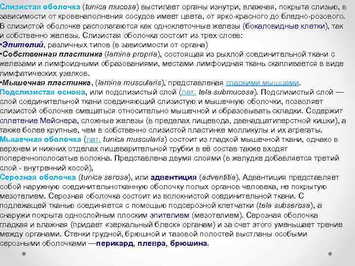 Слизистая оболочка (tunica mucosa) выстилает органы изнутри, влажная, покрыта слизью, в зависимости от кровенаполнения