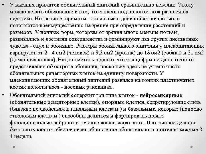  • У высших приматов обонятельный эпителий сравнительно невелик. Этому можно искать объяснение в