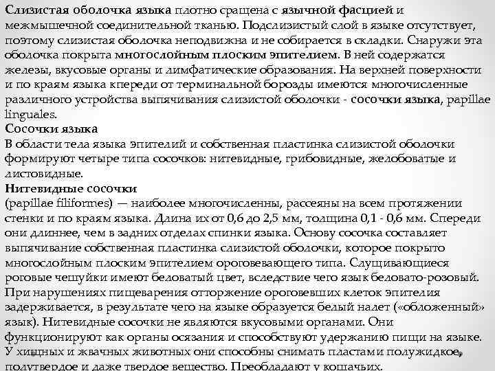 Слизистая оболочка языка плотно сращена с язычной фасцией и межмышечной соединительной тканью. Подслизистый слой