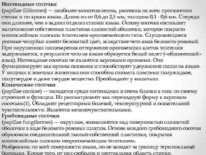 Нитевидные сосочки (papillae filiformes) — наиболее многочисленны, рассеяны на всем протяжении стенки и по