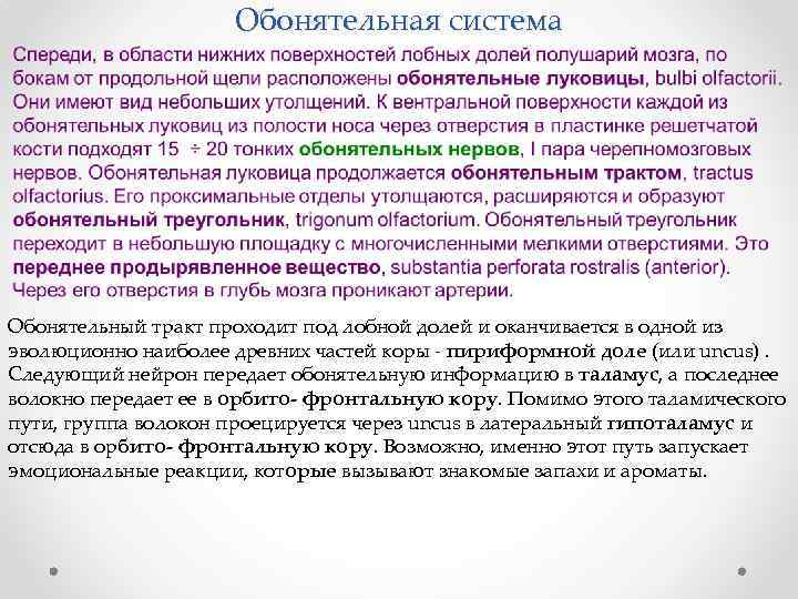 Обонятельная система Обонятельный тракт проходит под лобной долей и оканчивается в одной из эволюционно