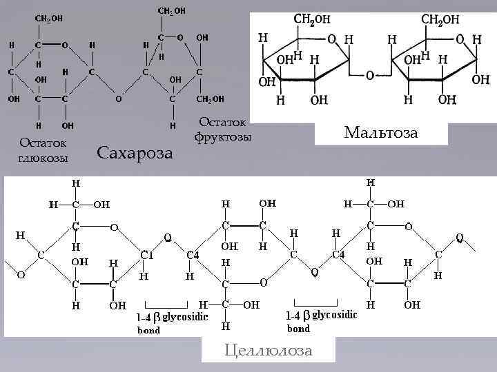 Остаток глюкозы Сахароза Остаток фруктозы 1 Целлюлоза Мальтоза 