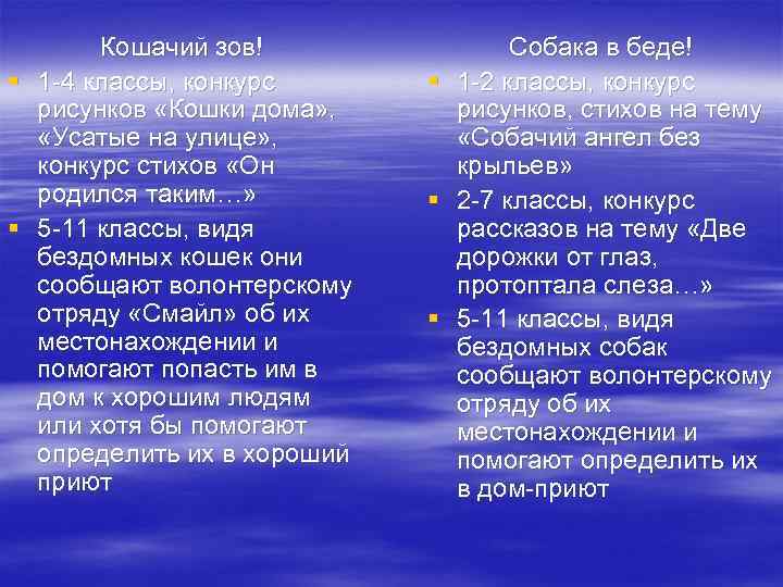 Кошачий зов! § 1 -4 классы, конкурс рисунков «Кошки дома» , «Усатые на улице»