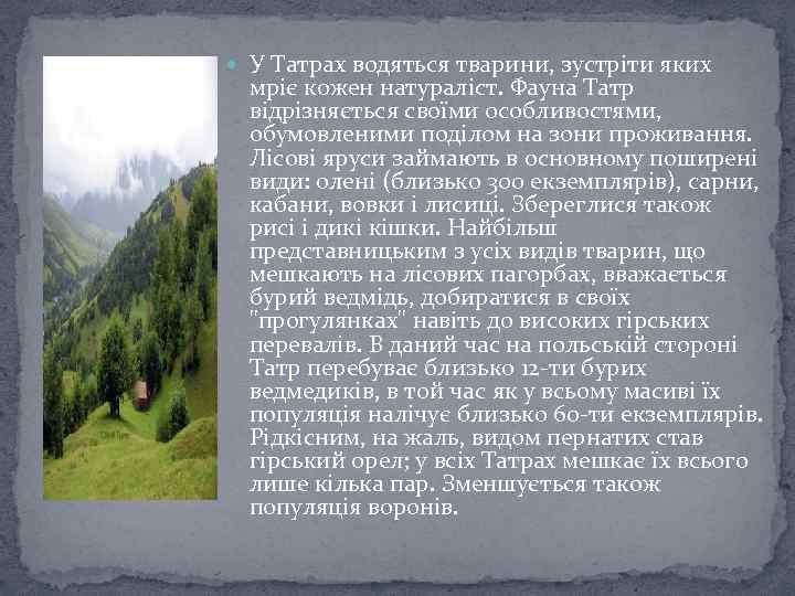  У Татрах водяться тварини, зустріти яких мріє кожен натураліст. Фауна Татр відрізняється своїми