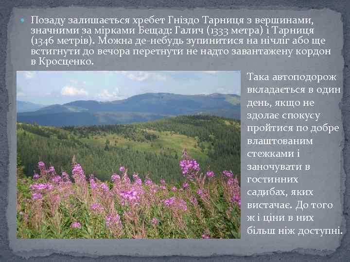  Позаду залишається хребет Гніздо Тарниця з вершинами, значними за мірками Бещад: Галич (1333