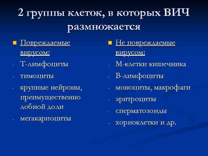 2 группы клеток, в которых ВИЧ размножается n - - Повреждаемые вирусом: Т-лимфоциты тимоциты