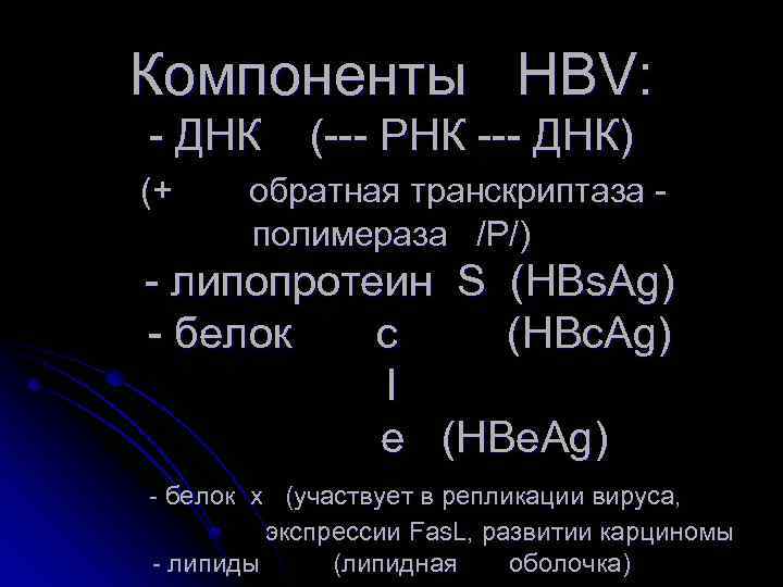 Компоненты HBV: - ДНК (+ (--- РНК --- ДНК) обратная транскриптаза полимераза /Р/) -
