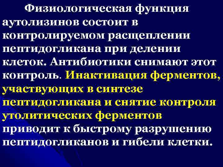 Физиологическая функция аутолизинов состоит в контролируемом расщеплении пептидогликана при делении клеток. Антибиотики снимают этот
