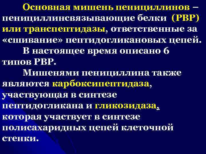 Основная мишень пенициллинов – пенициллинсвязывающие белки (РВР) или транспептидазы, ответственные за «сшивание» пептидогликановых цепей.