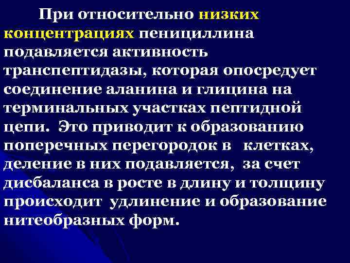 При относительно низких концентрациях пенициллина подавляется активность транспептидазы, которая опосредует соединение аланина и глицина