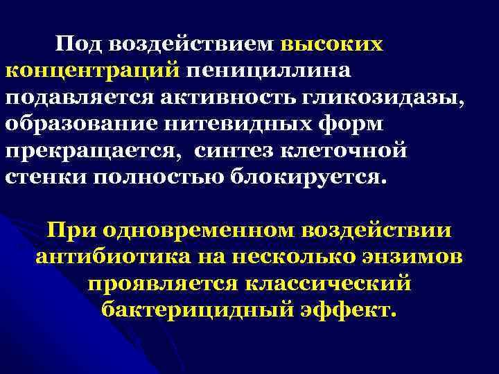 Под воздействием высоких концентраций пенициллина подавляется активность гликозидазы, образование нитевидных форм прекращается, синтез клеточной