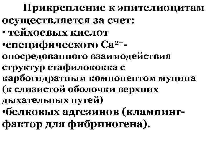 Прикрепление к эпителиоцитам осуществляется за счет: • тейхоевых кислот • специфического Са 2+- опосредованного