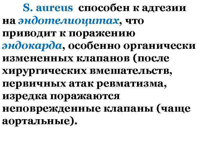 S. aureus способен к адгезии на эндотелиоцитах, что приводит к поражению эндокарда, особенно органически