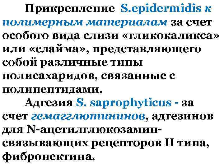 Прикрепление S. epidermidis к полимерным материалам за счет особого вида слизи «гликокаликса» или «слайма»