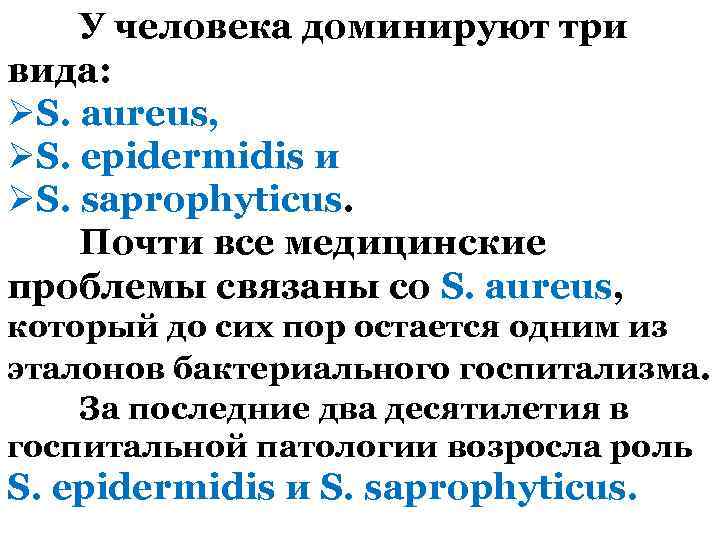У человека доминируют три вида: ØS. aureus, ØS. epidermidis и ØS. saprophyticus. Почти все