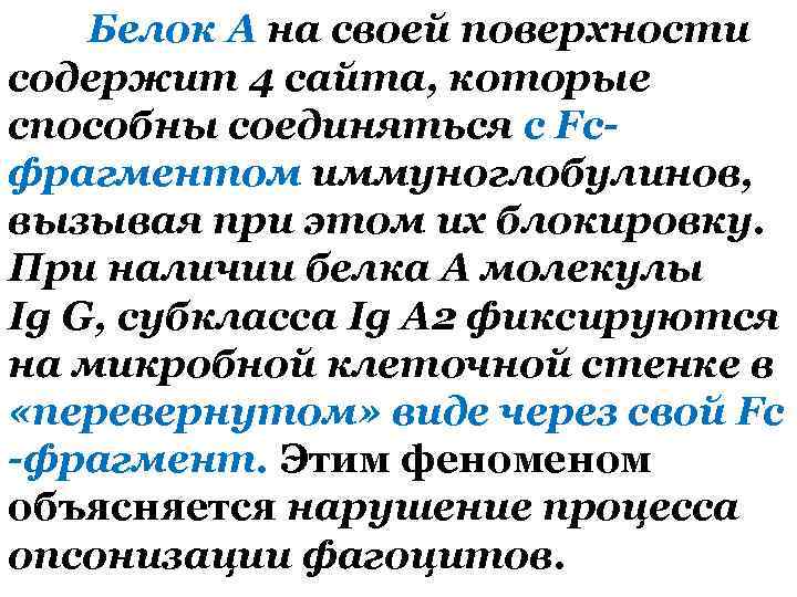 Белок А на своей поверхности содержит 4 сайта, которые способны соединяться с Fcфрагментом иммуноглобулинов,