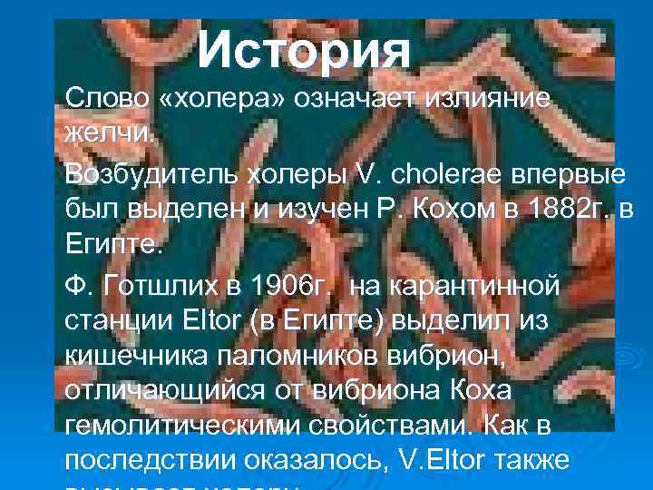 История Слово «холера» означает излияние желчи. Возбудитель холеры V. cholerae впервые был выделен и