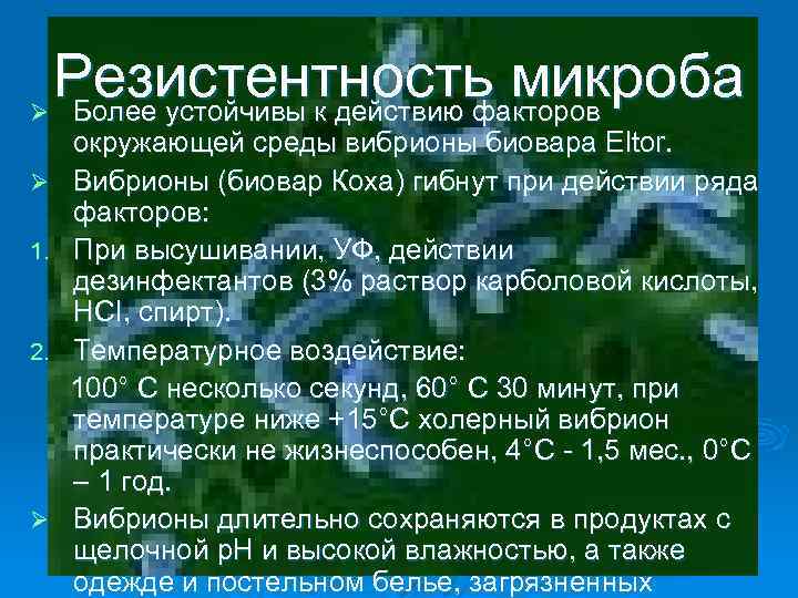 Ø Ø 1. 2. Ø Резистентность микроба Более устойчивы к действию факторов окружающей среды